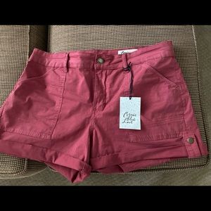 Cosmic blue love shorts size 12/31